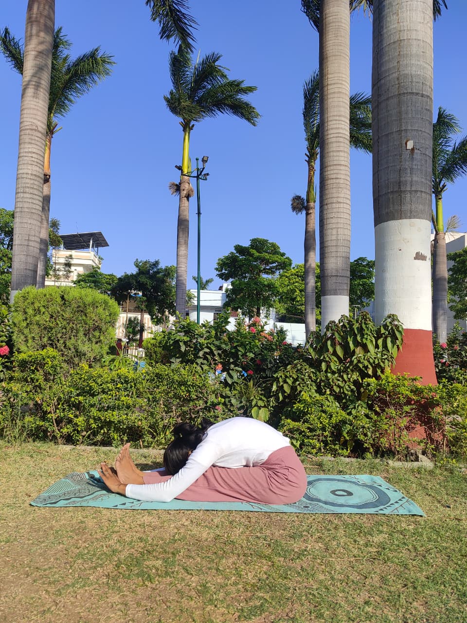 Yoga training session
